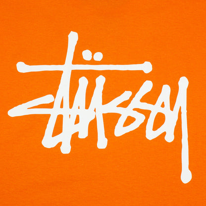 Basic Stussy T-Shirt
