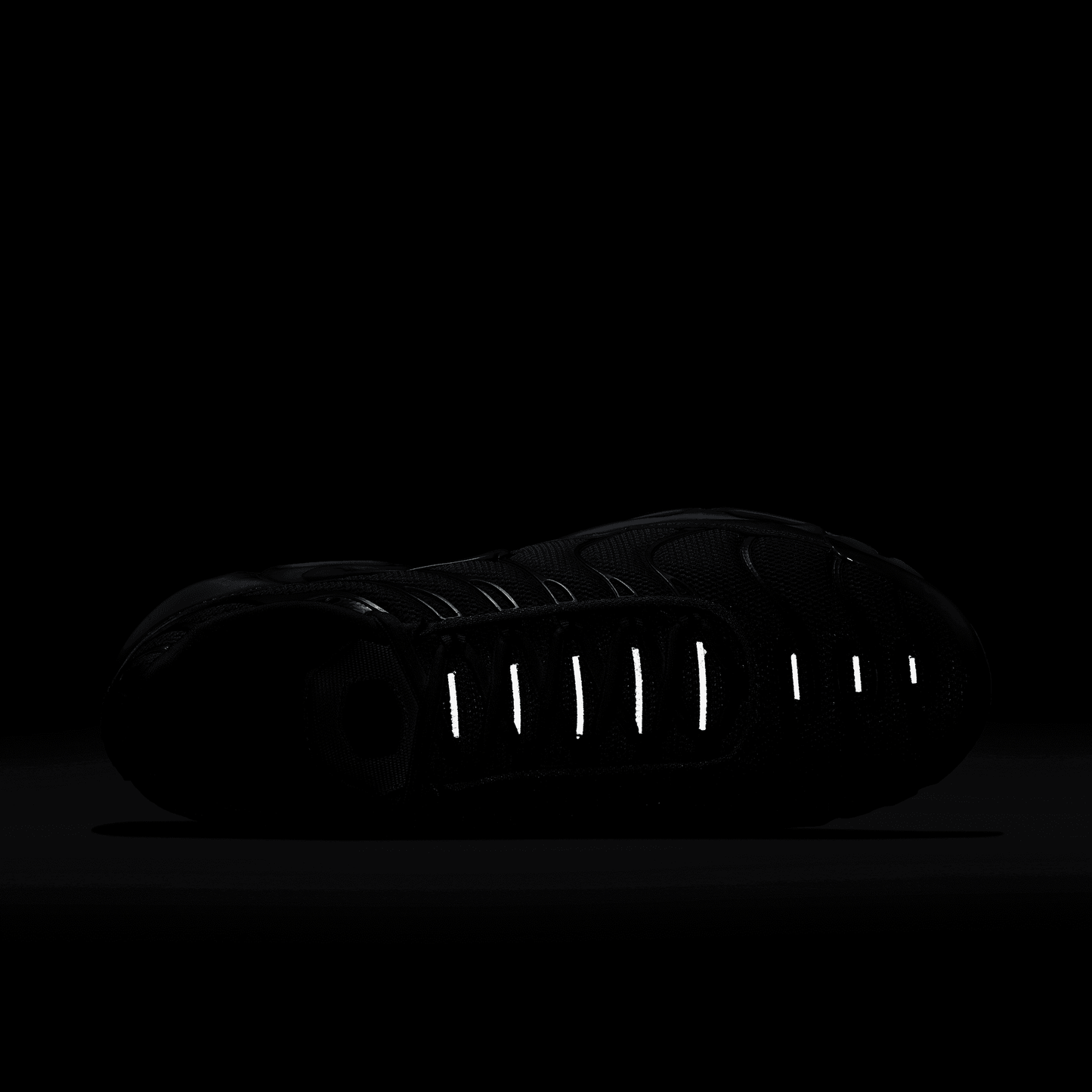 Nike Air Max Plus