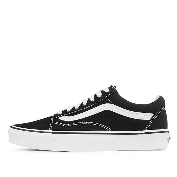 Vans Old Skool Shoe- Canvas