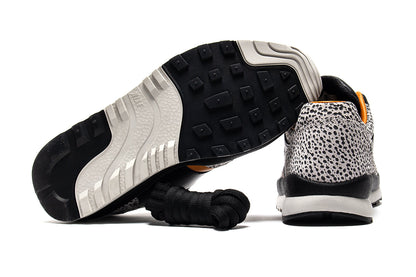 Air Safari