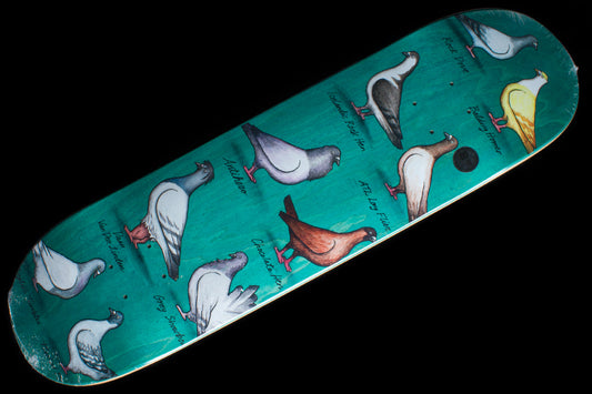 Daan Show Pigeons Deck Teal 8.38