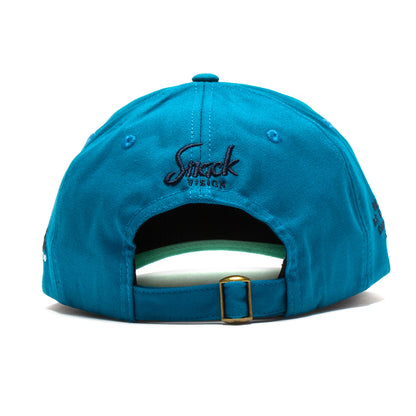 Audio / Video Hat