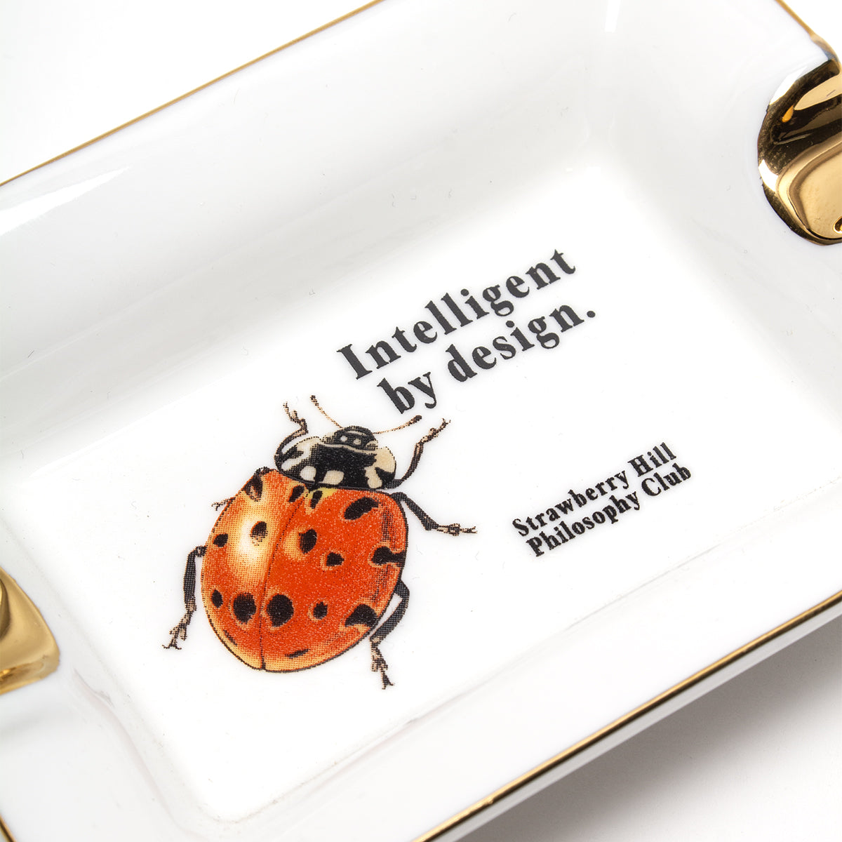 Intelligent By Design Ceramic Ashtray