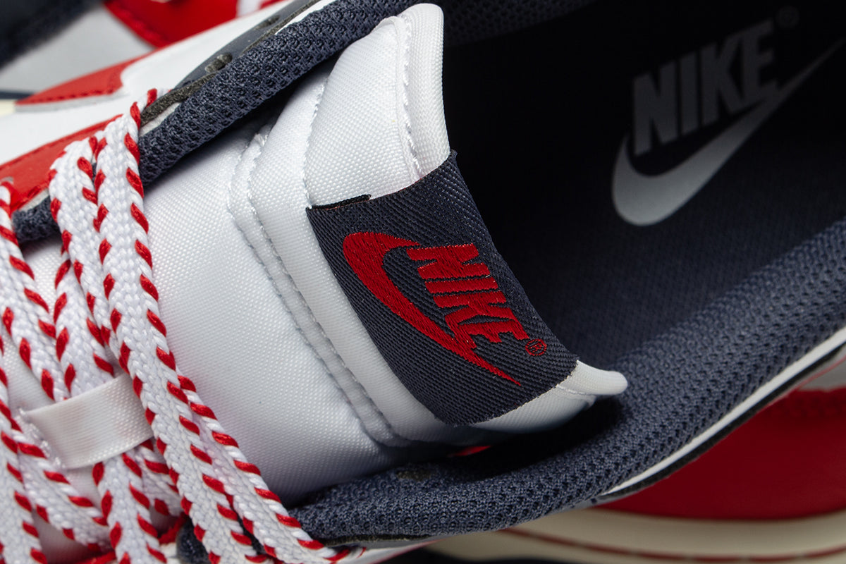 Dunk Low Retro