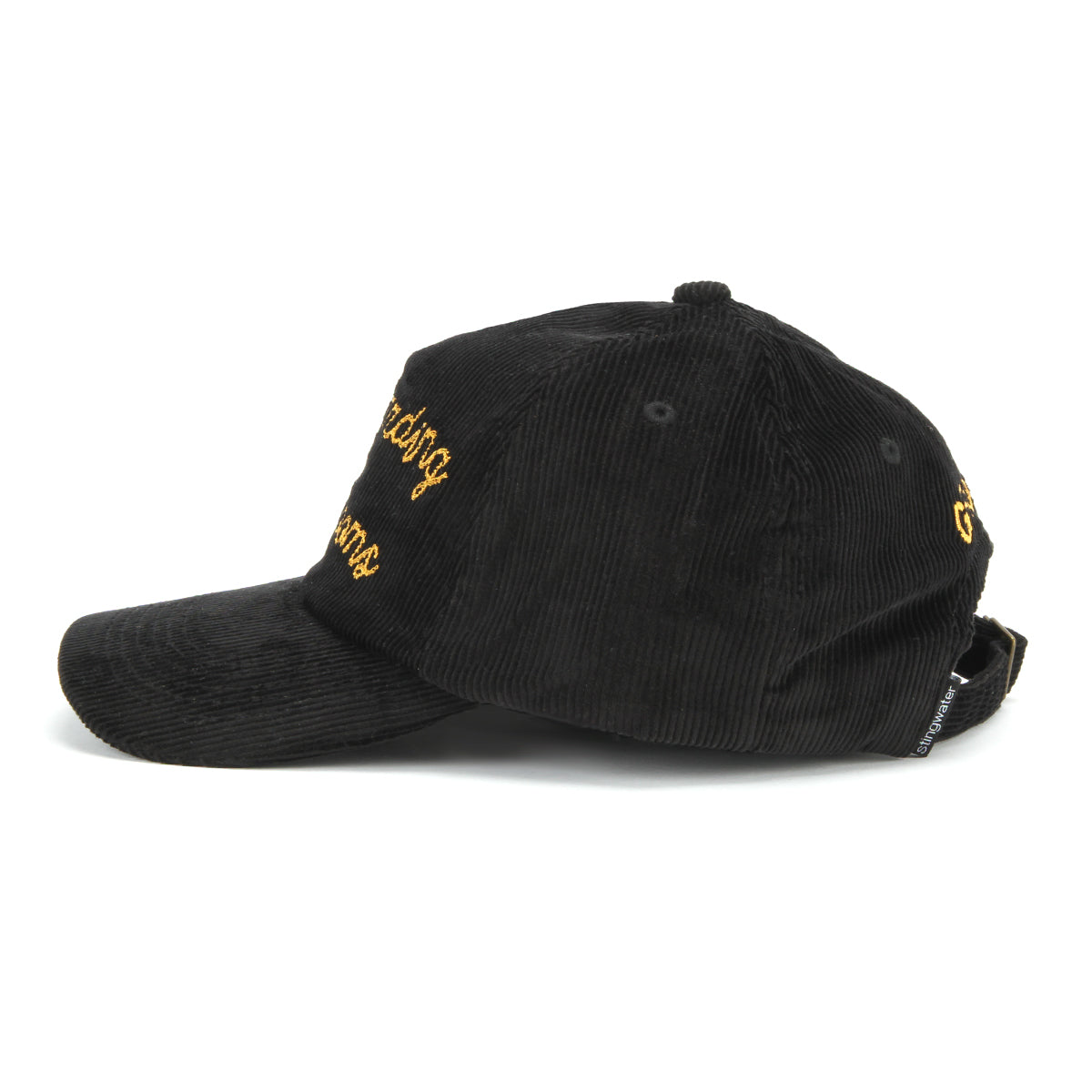 Skateboarding on Mushrooms Hat