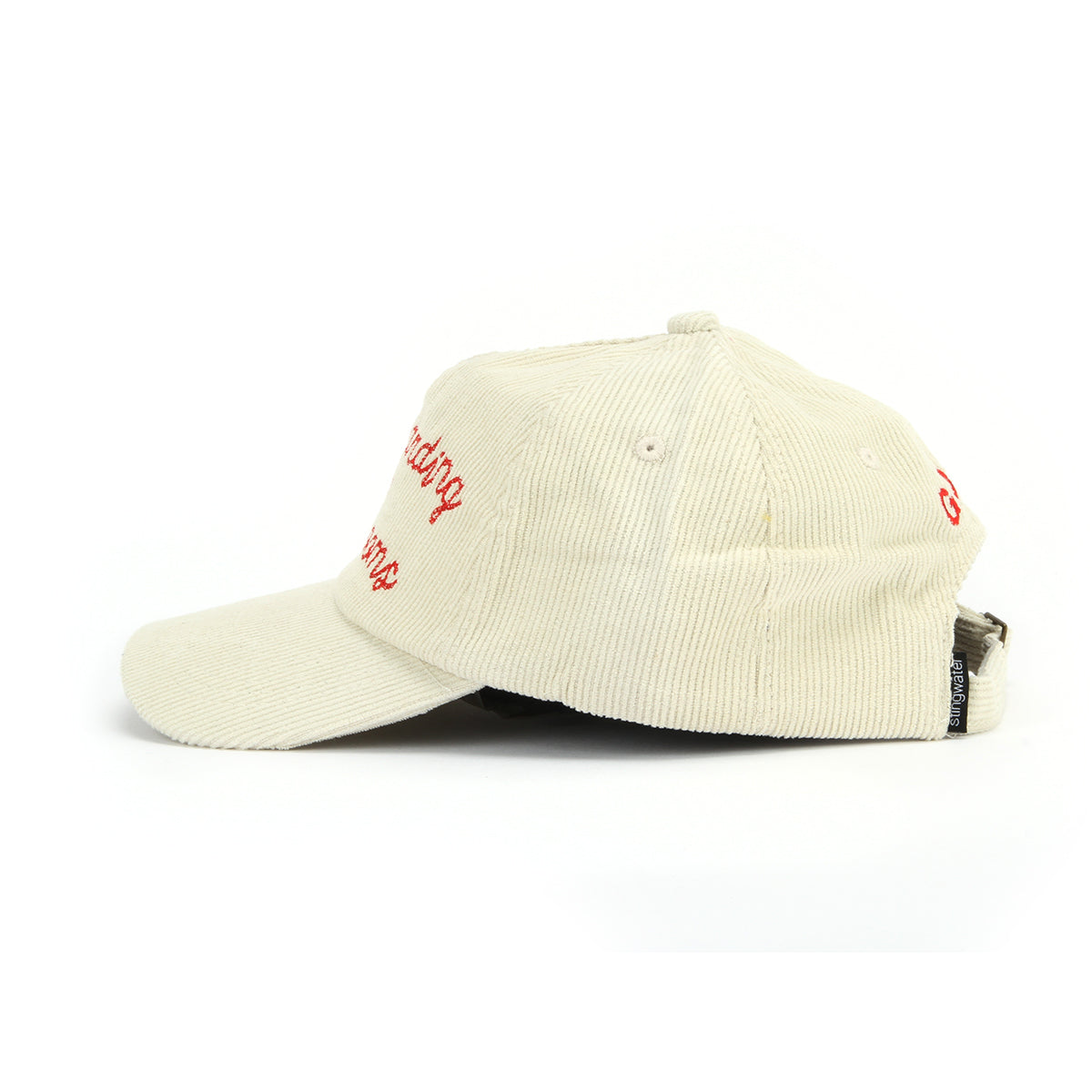 Skateboarding on Mushrooms Hat