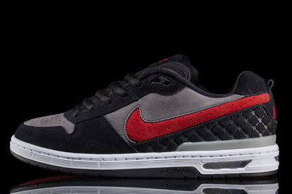 Paul Rodriquez Zoom Air Low