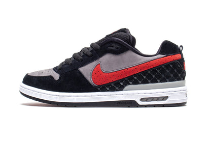 Paul Rodriquez Zoom Air Low