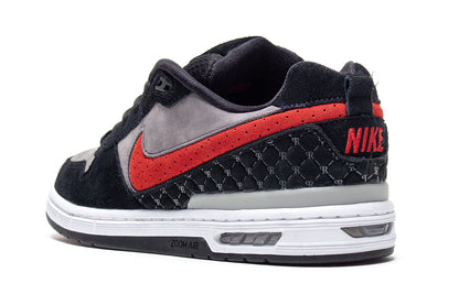 Paul Rodriquez Zoom Air Low