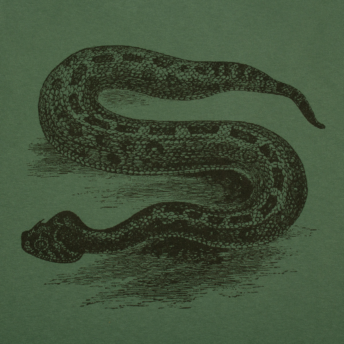 Serpent Pigment Dyed T-Shirt