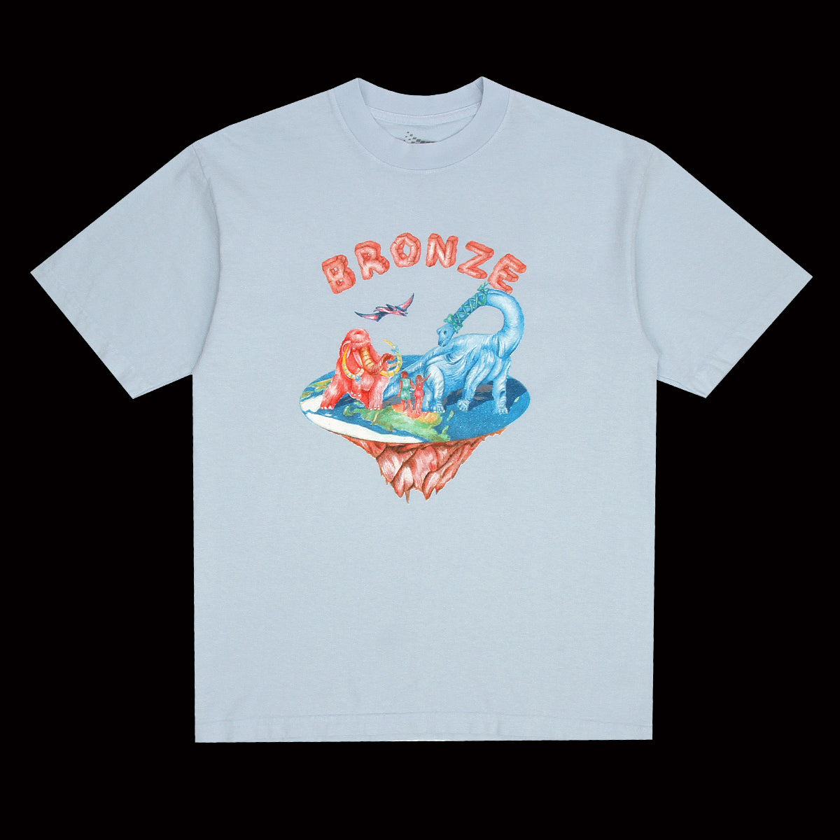 Flat Earth T-Shirt