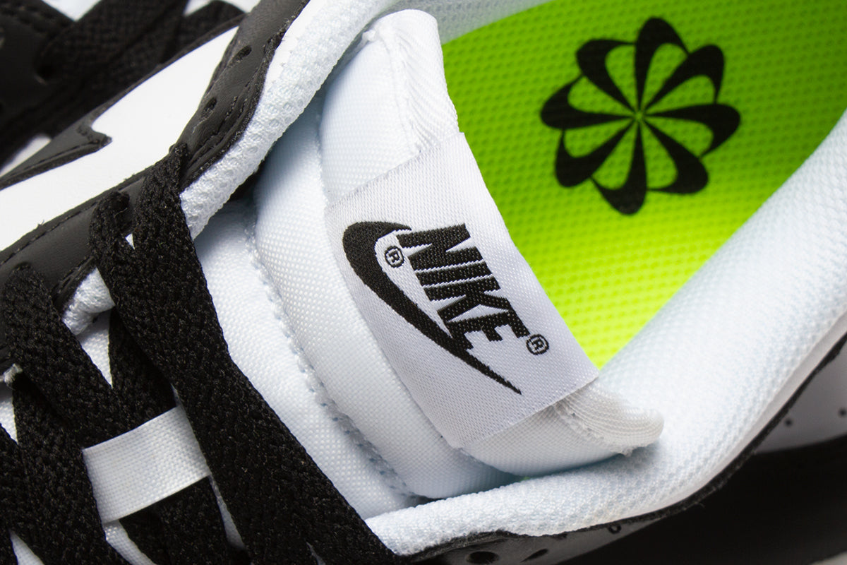 Women's Dunk Low Next Nature