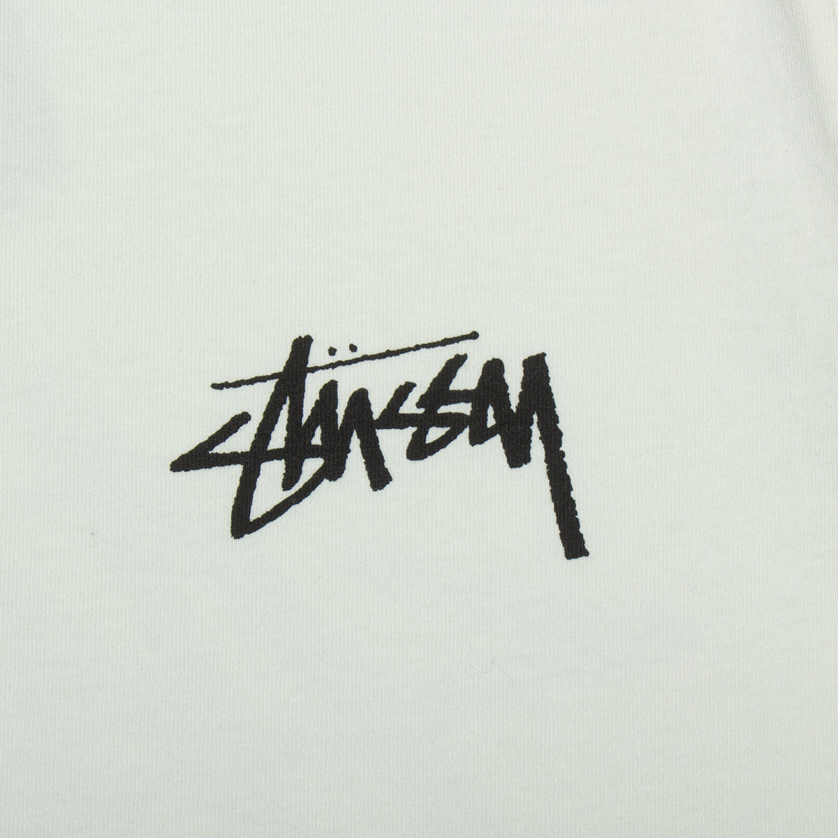 Skate Posse Pigment Dyed T-Shirt