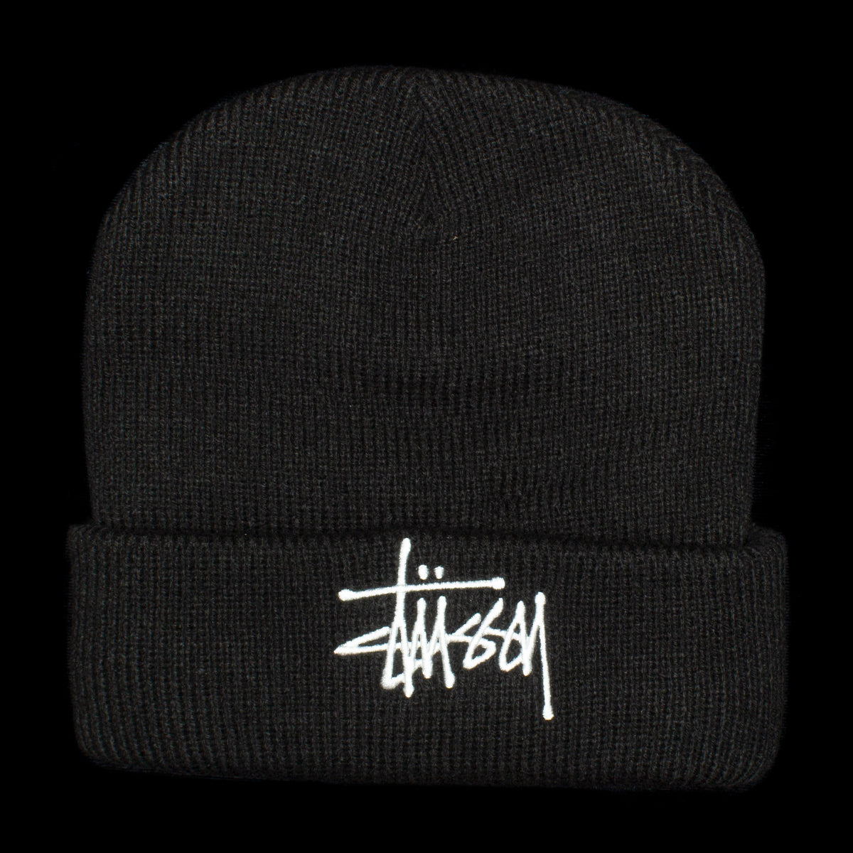 Big Basic Thinsulate Beanie