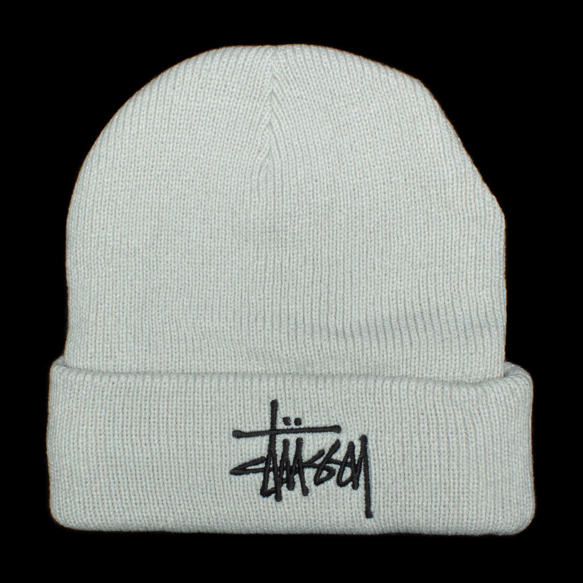 Big Basic Thinsulate Beanie