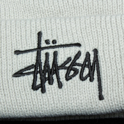 Big Basic Thinsulate Beanie