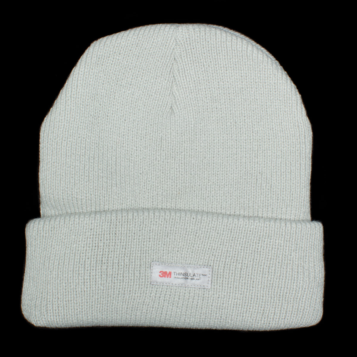 Big Basic Thinsulate Beanie