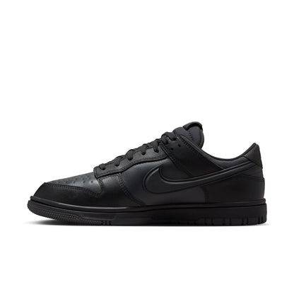 Nike Dunk Low GORE-TEX