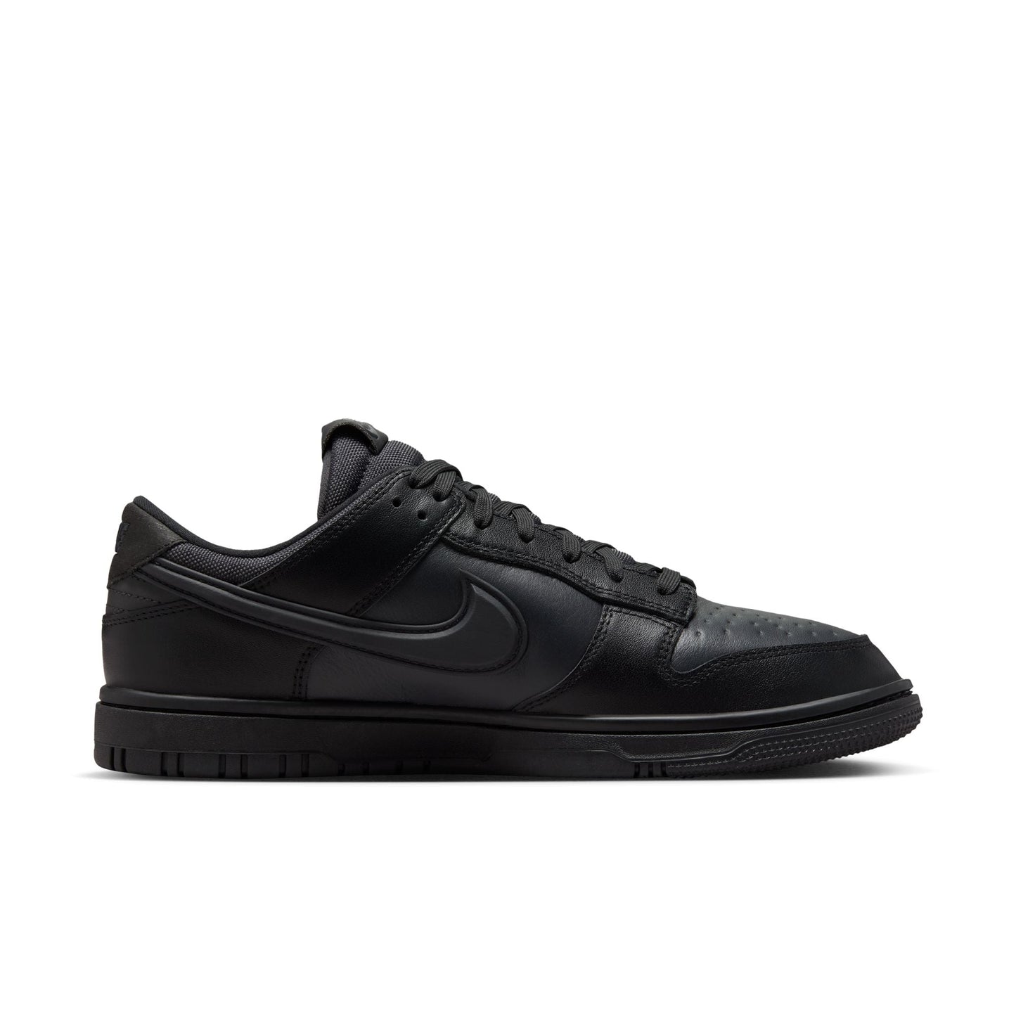 Nike Dunk Low GORE-TEX