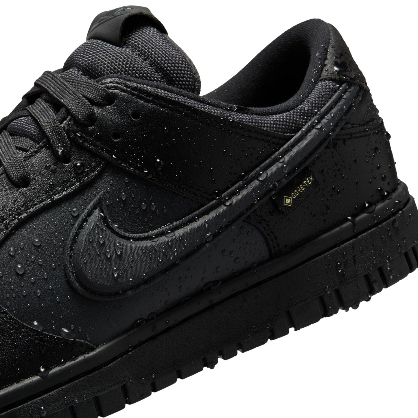 Nike Dunk Low GORE-TEX