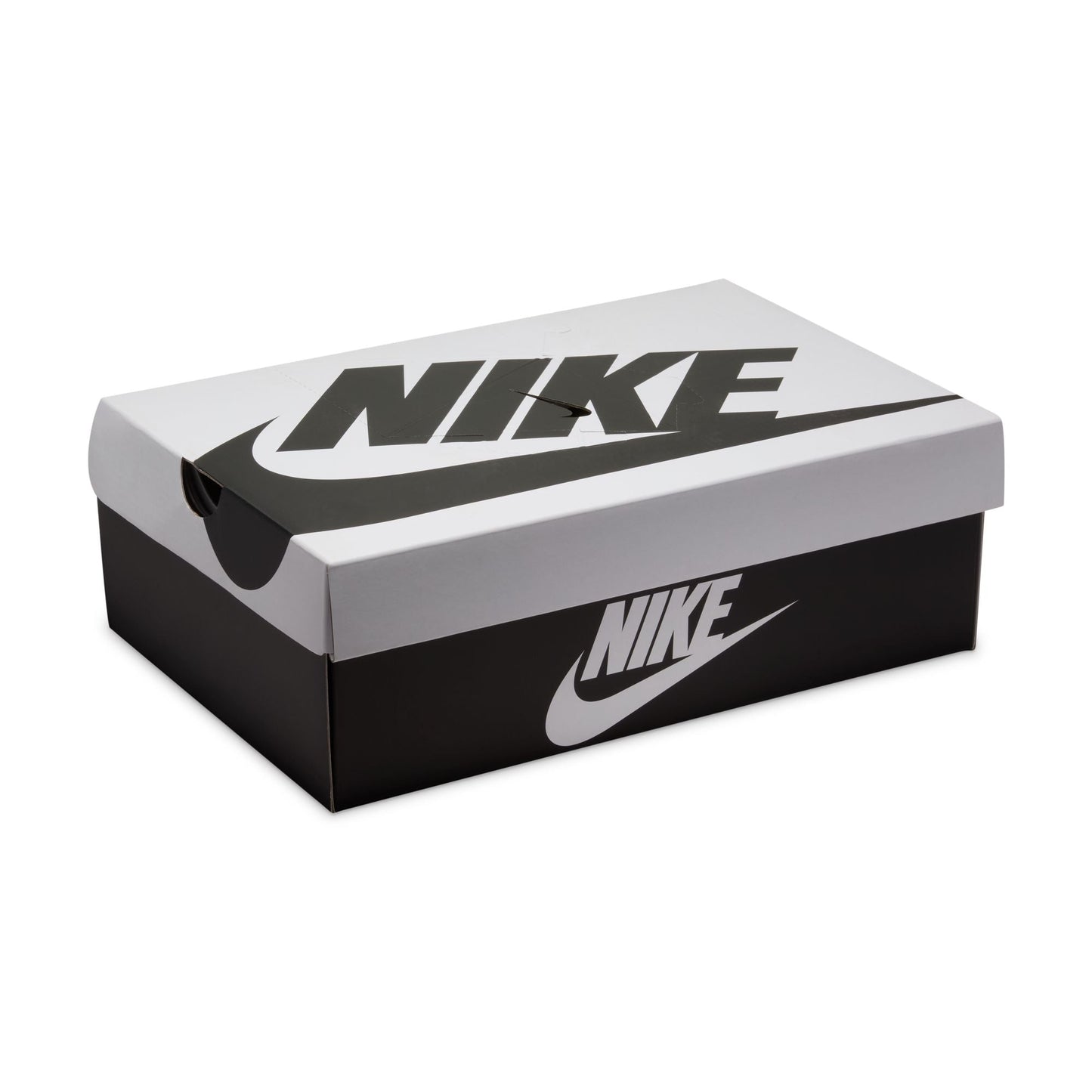 Men's Nike Dunk Low Retro SE Viotech