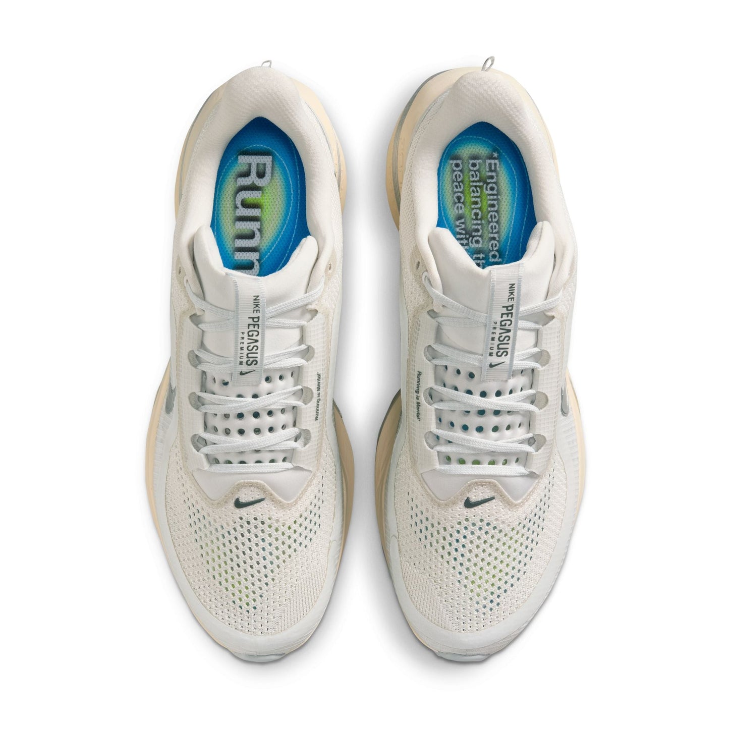 Men's Nike Pegasus Premium
