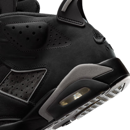 Nike Air Jordan 6 Retro Cap and Gown