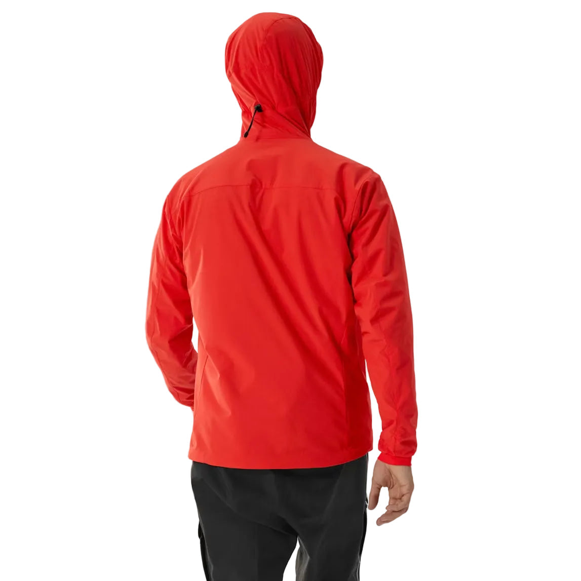 DM Arc'teryx PRO Practitioner AR Hoody