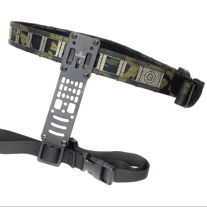 GBRS Group Assaulter Belt System v2