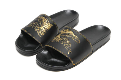 Basic Eagle Slides
