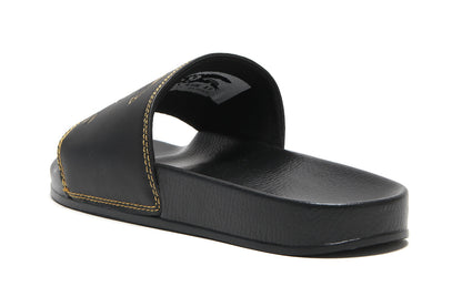 Basic Eagle Slides