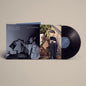 Belle And Sebastian- Late Developers