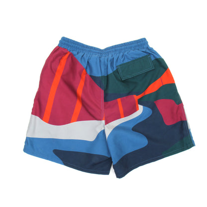 The Festival Fence Swim Shorts