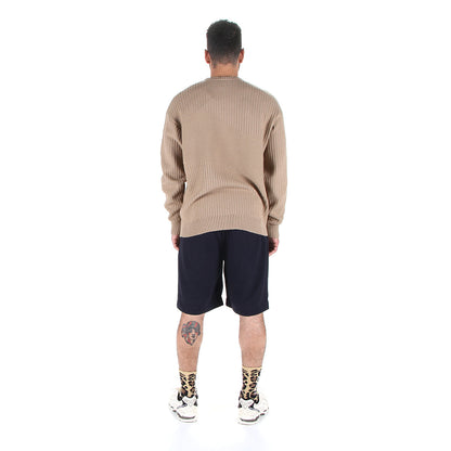 Pleated Twill Shorts