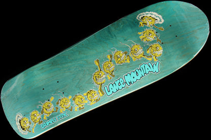 SSD 2024 - Lance Guest Deck 9.83"