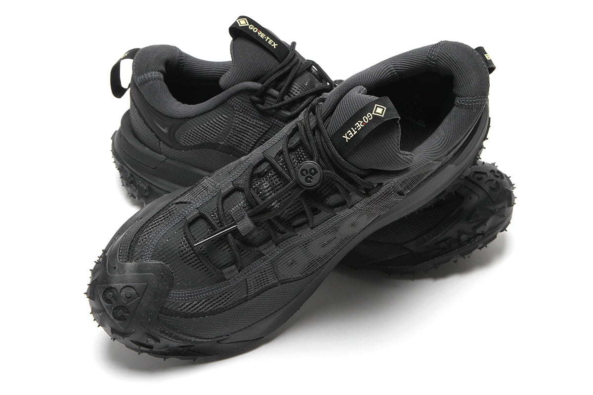 ACG Mountain Fly 2 Low Gore-Tex