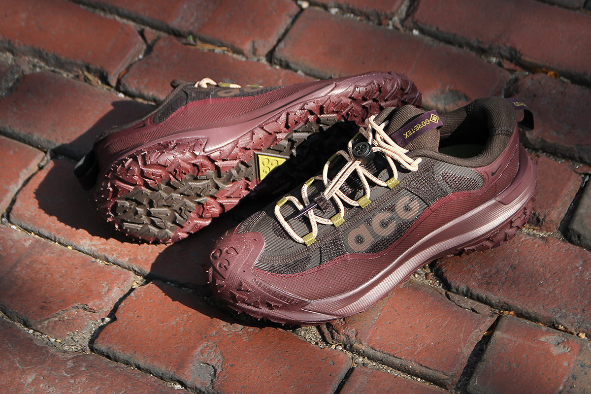 ACG Mountain Fly 2 Low Gore-Tex