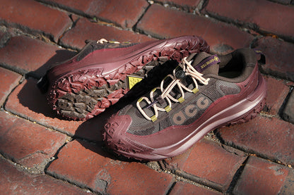 ACG Mountain Fly 2 Low Gore-Tex