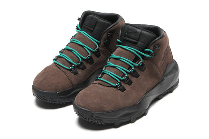 ACG Cygnal