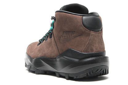 ACG Cygnal