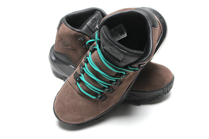 ACG Cygnal