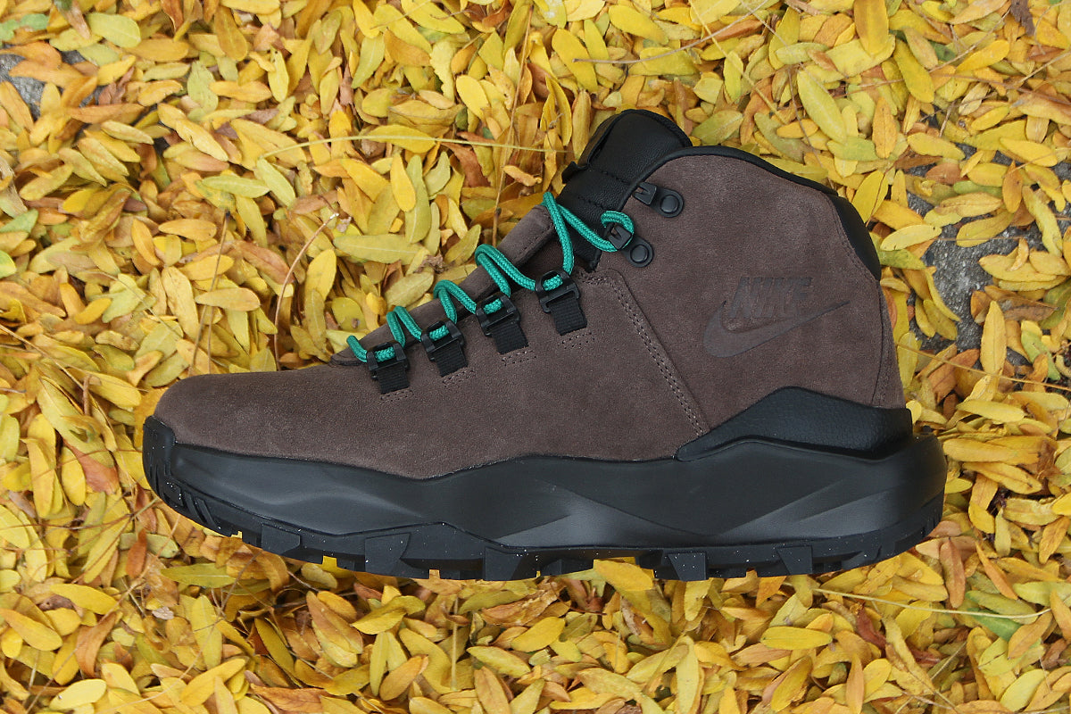 ACG Cygnal