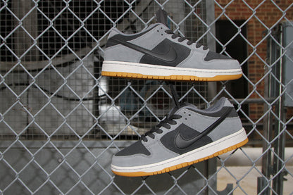 Dunk Low Pro