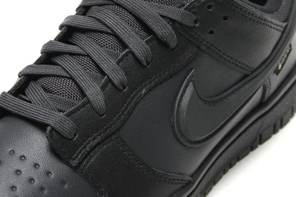 Dunk Low GTX