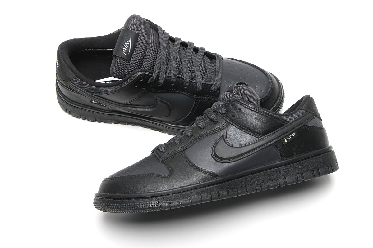 Dunk Low GTX
