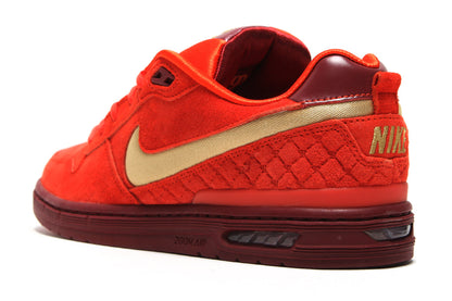 Paul Rodriguez Zoom Air Low