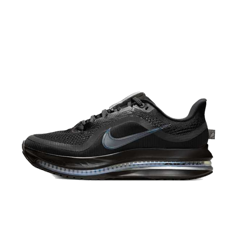 Nike Women's Pegasus Premium Shoes - Black / Metallic Silver
