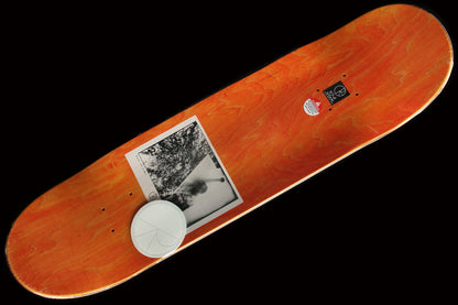 Paul Grund Man With Window Deck 8.38"
