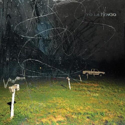 Yo La Tengo- This Stupid World