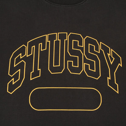 Varsity Oversized Crew